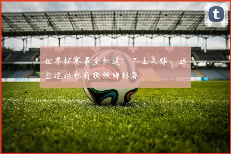 世界杯赛事全知道:不止足球,这些运动也有顶级锦标赛