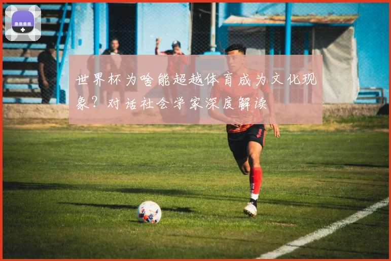 世界杯为啥能超越体育成为文化现象？对话社会学家深度解读