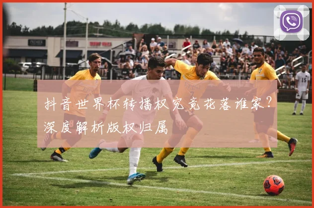 抖音世界杯转播权究竟花落谁家?深度解析版权归属
