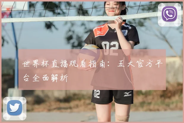 世界杯直播观看指南：五大官方平台全面解析