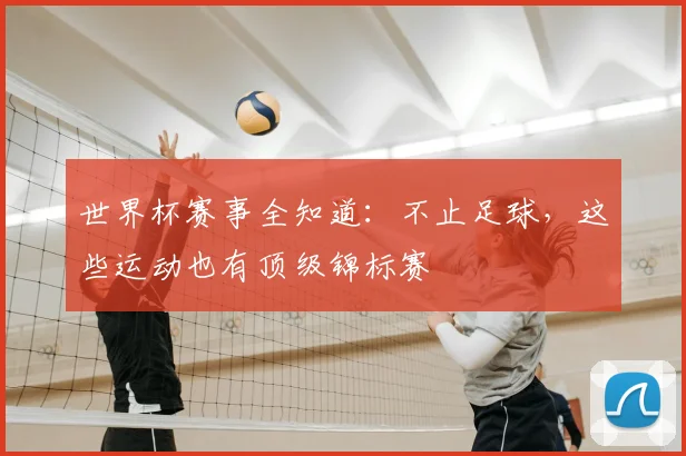 世界杯赛事全知道:不止足球,这些运动也有顶级锦标赛