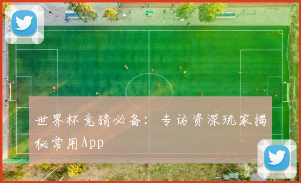 世界杯竞猜必备:专访资深玩家揭秘常用App